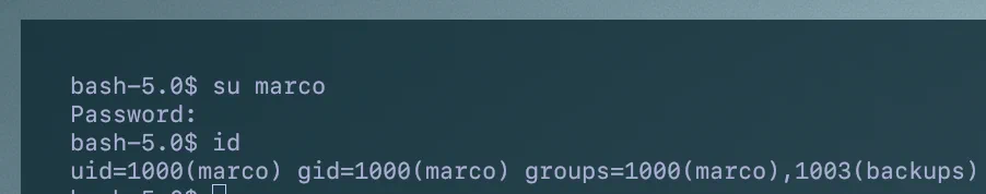 Imagen de bash con el usuario Marco